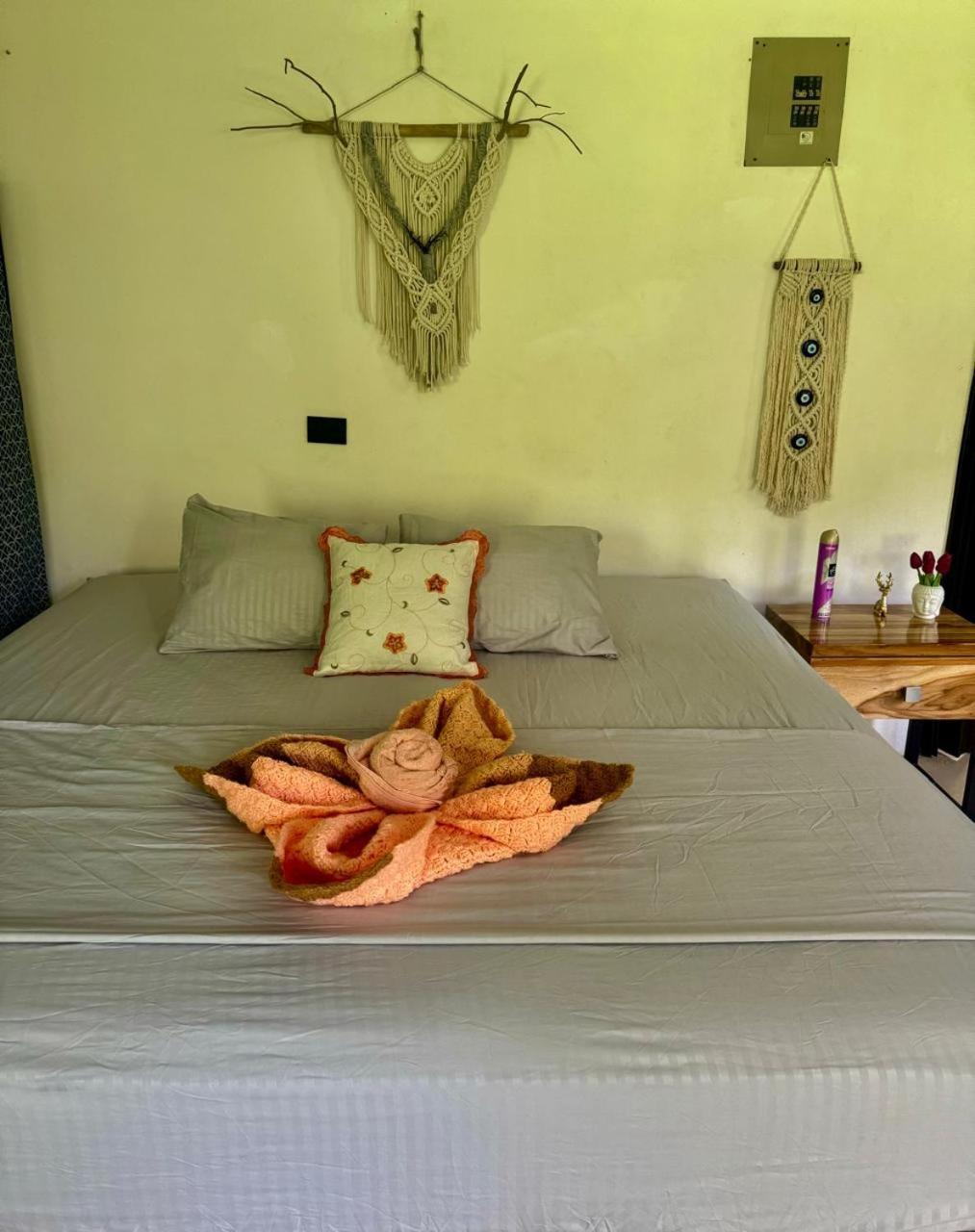 Deer House Cabuya Διαμέρισμα Cabuya  Εξωτερικό φωτογραφία